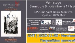 🔴 VIDEO | 2019-11-09 – Vernissage de l’exposition Immersion – Vasile Trif